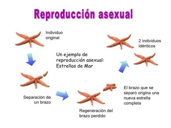 2025082216351517.webp.webp