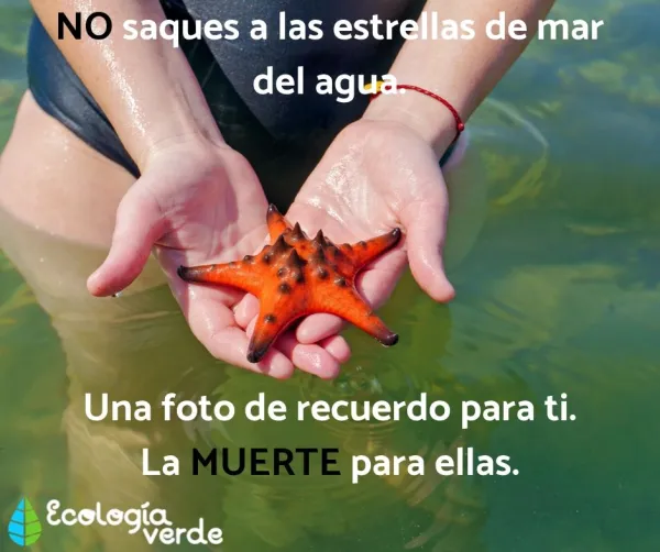 2025082274604147.webp.webp
