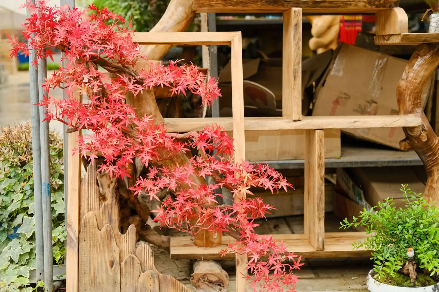 DSCF3918.webp.webp