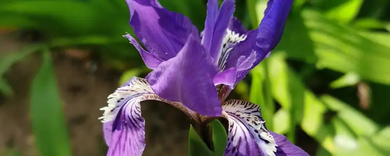 61110a3e63fa7.webp.webp