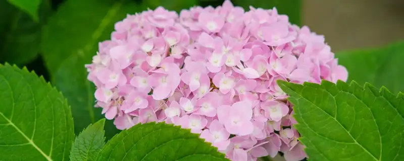 610bb7569d105.webp.webp