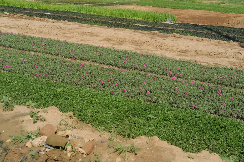DSCF8057.webp.webp