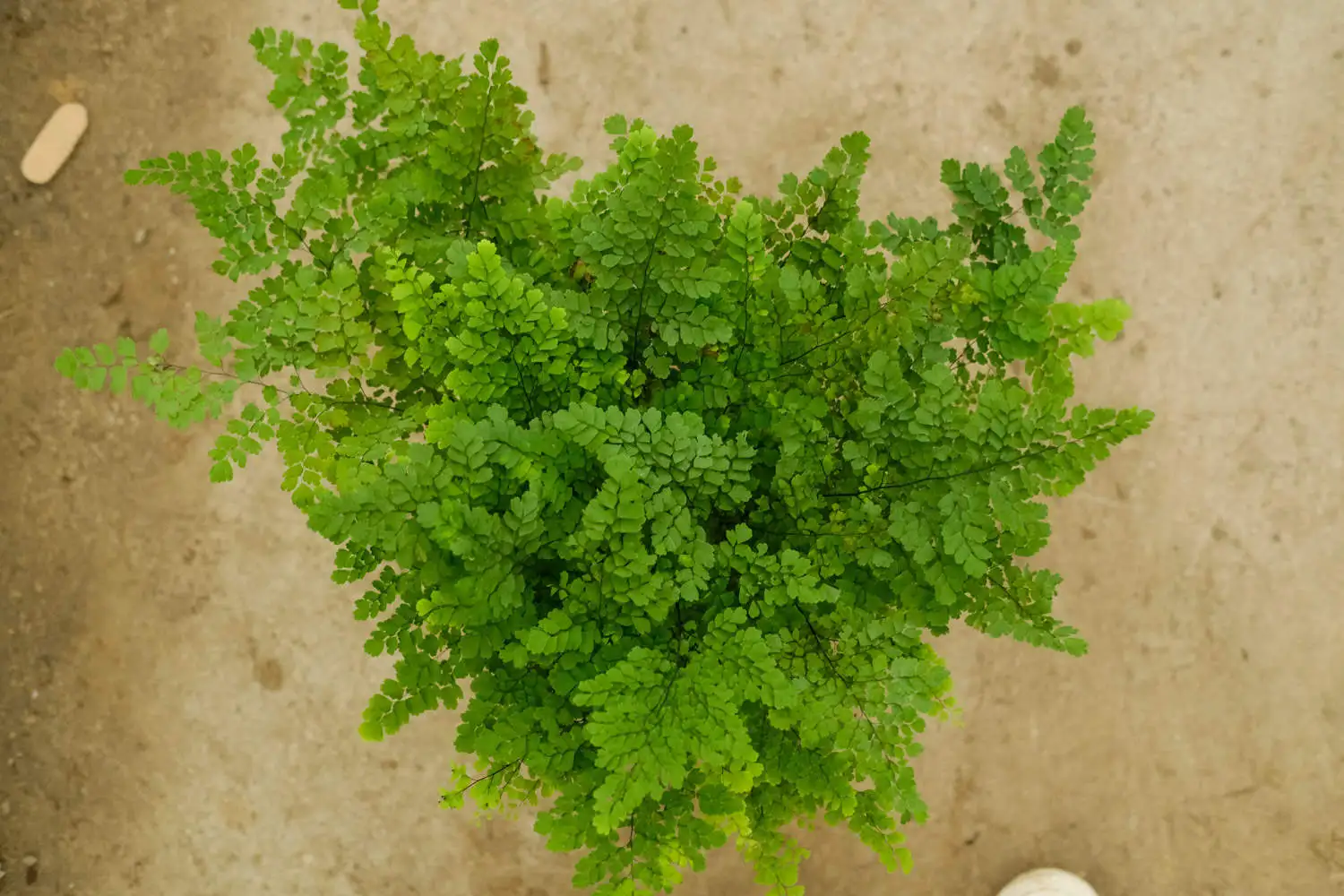 DSCF5771.webp.webp