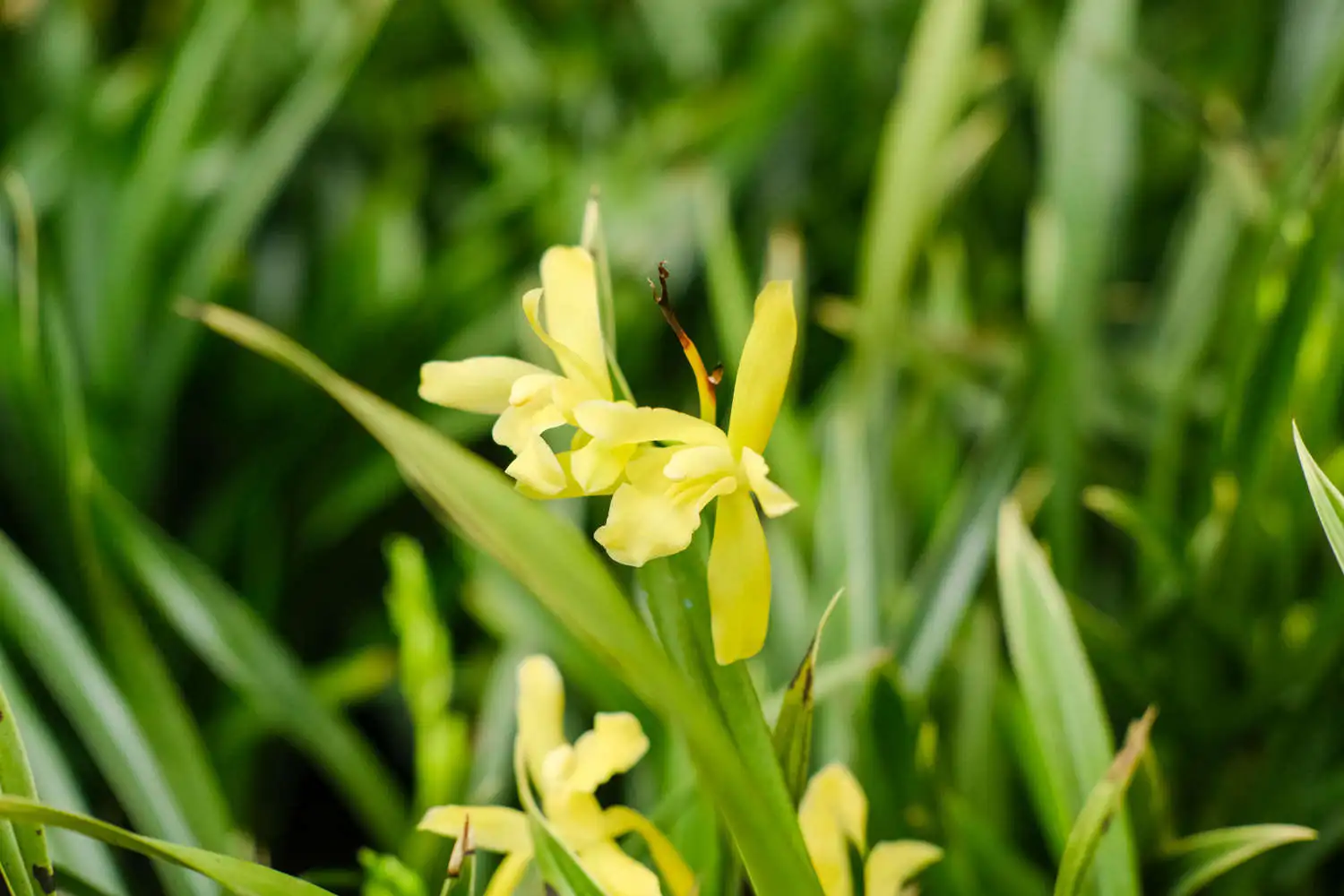 DSCF4179.webp.webp
